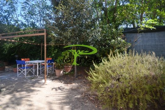 QUADRILOCALE VIA SCORFANO 66