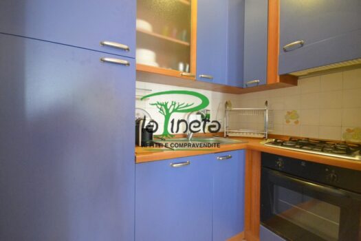 MUGGINE 31 – TRILO PT