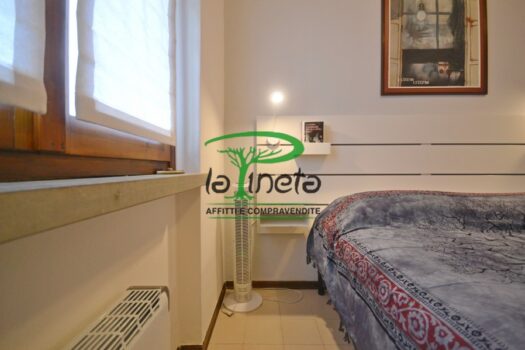 MUGGINE 31 – TRILO PT