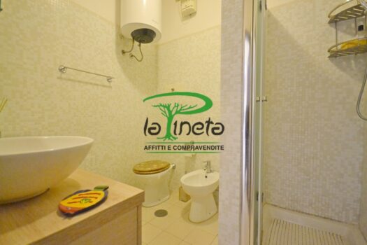 MUGGINE 31 – TRILO PT