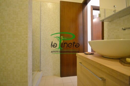 MUGGINE 31 – TRILO PT