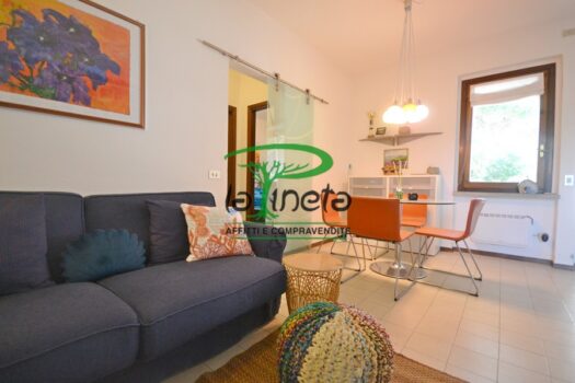 MUGGINE 31 – TRILO PT