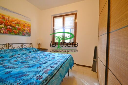 MUGGINE 31 – TRILO PT