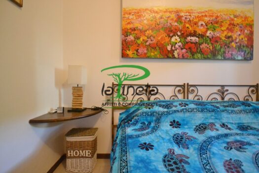 MUGGINE 31 – TRILO PT