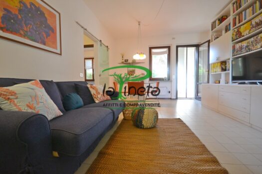 MUGGINE 31 – TRILO PT