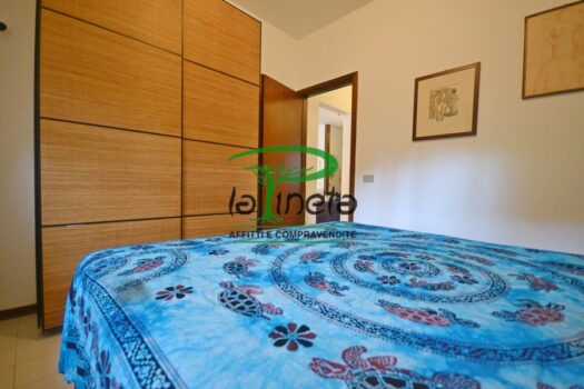 MUGGINE 31 – TRILO PT