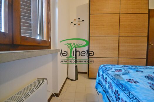 MUGGINE 31 – TRILO PT