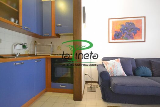 MUGGINE 31 – TRILO PT