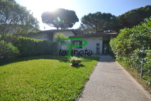 MUGGINE 31 – TRILO PT