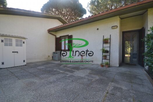 MUGGINE 31 – TRILO PT