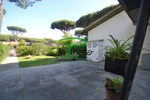 MUGGINE 31 – TRILO PT