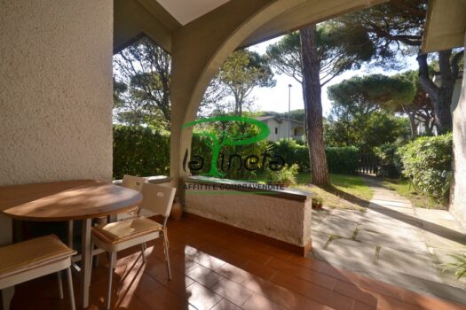 MUGGINE 31 – TRILO PT