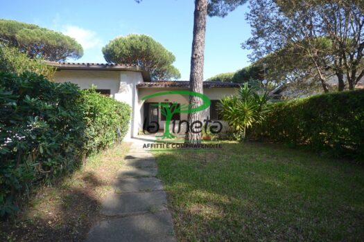 MUGGINE 31 – TRILO PT