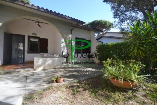 MUGGINE 31 – TRILO PT