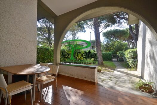 MUGGINE 31 – TRILO PT