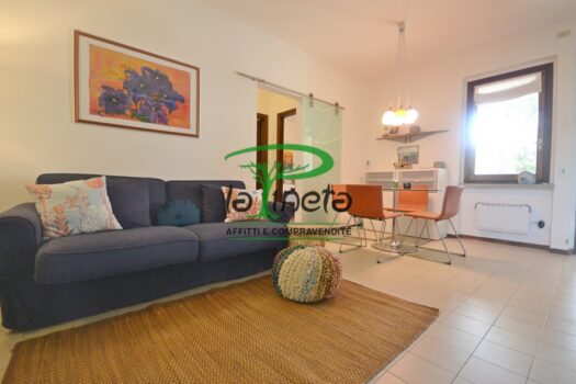 MUGGINE 31 – TRILO PT