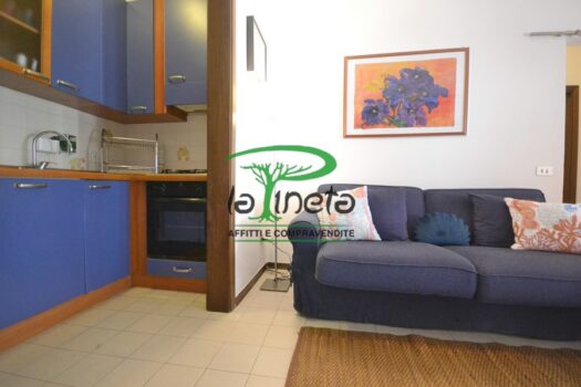 MUGGINE 31 – TRILO PT