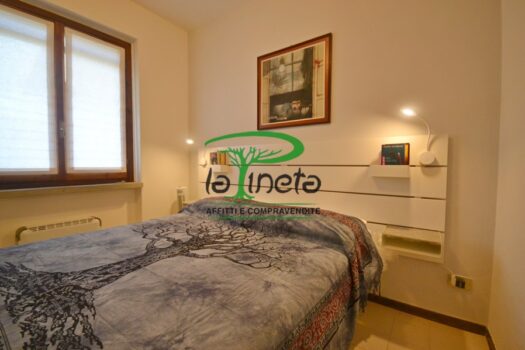 MUGGINE 31 – TRILO PT