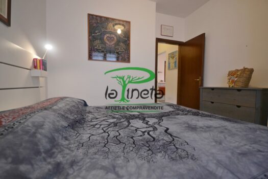 MUGGINE 31 – TRILO PT