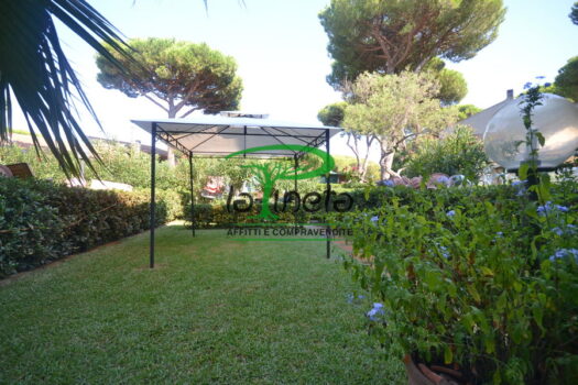 VILLA A SCHIERA SPIGOLA 37