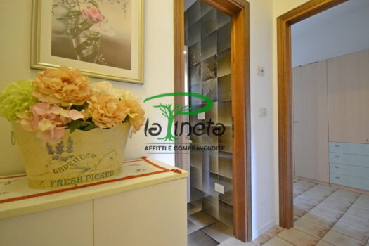 VILLA A SCHIERA SPIGOLA 37