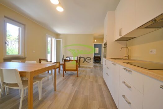 APPARTAMENTO PP – VIA MURENE 69C