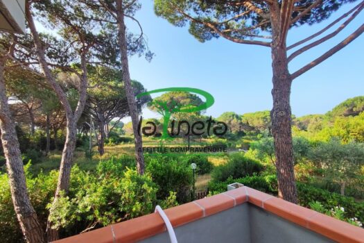 SOGLIOLA 90 – VILLETTA