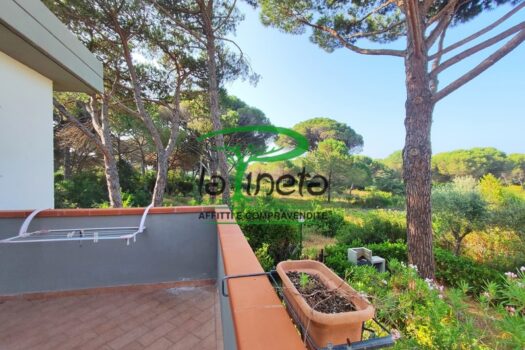 SOGLIOLA 90 – VILLETTA