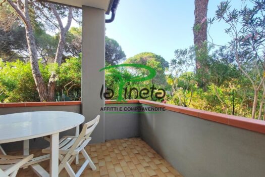 SOGLIOLA 90 – VILLETTA