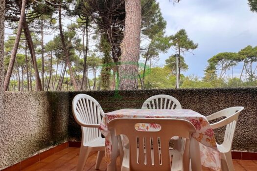 MURENE 23.2- TRILO PP