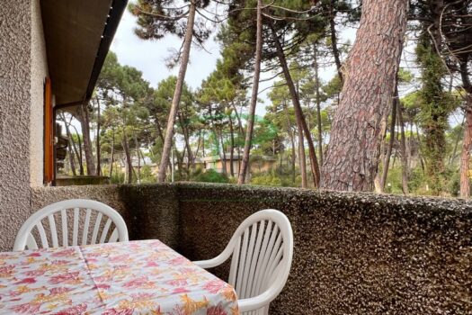 MURENE 23.2- TRILO PP