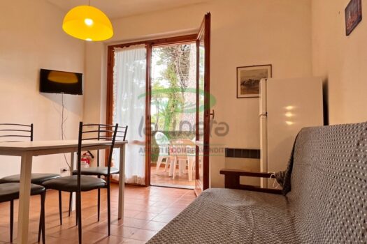 MURENE 23.2- TRILO PP