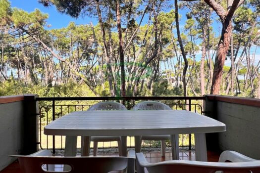 ARAGOSTA 43.4 – BILO PP