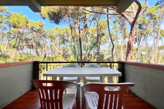 ARAGOSTA 43.4 – BILO PP