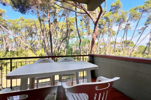 ARAGOSTA 43.4 – BILO PP