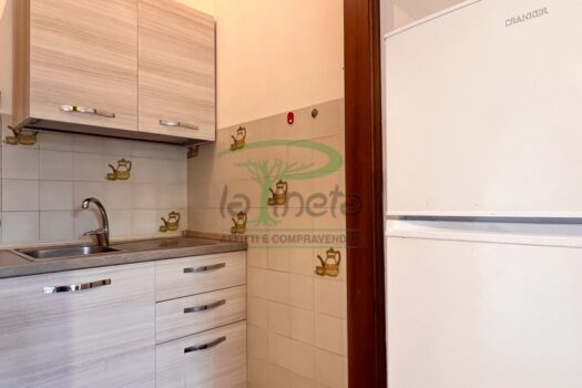 MURENE 37 – TRILO PT