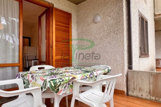 MURENE 37 – TRILO PT