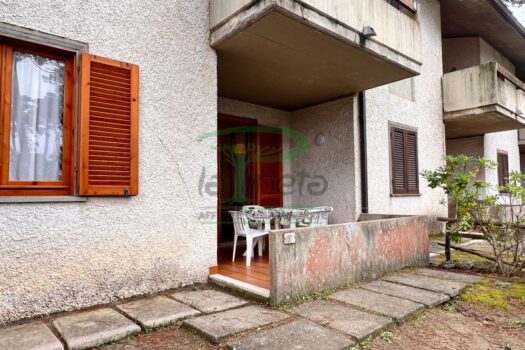 MURENE 37 – TRILO PT