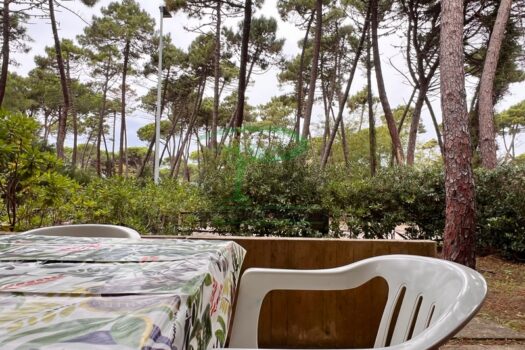 MURENE 37 – TRILO PT