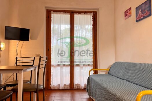 MURENE 37 – TRILO PT