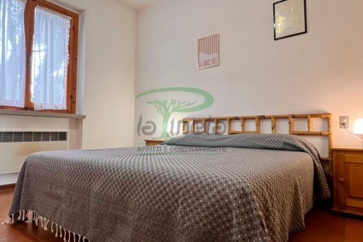 MURENE 37 – TRILO PT