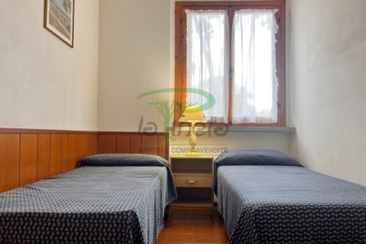 MURENE 37 – TRILO PT