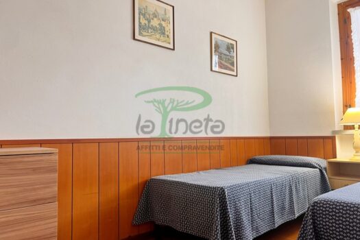 MURENE 37 – TRILO PT