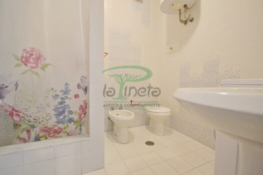 DELFINO 36 – TRILO PP