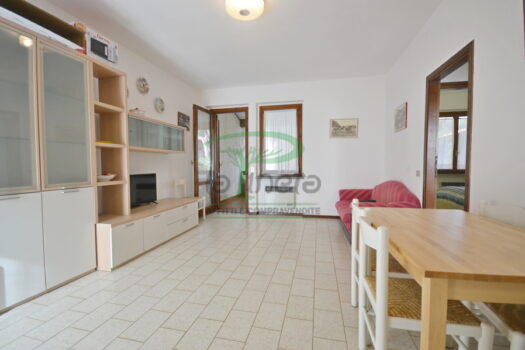 DELFINO 36 – TRILO PP