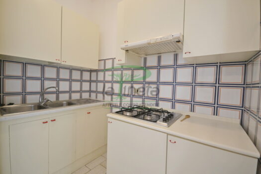 DELFINO 36 – TRILO PP