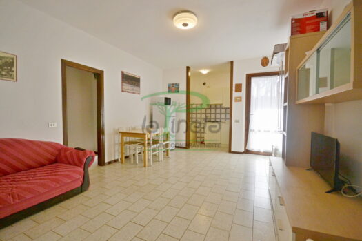 DELFINO 36 – TRILO PP