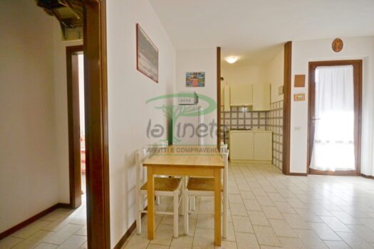 DELFINO 36 – TRILO PP