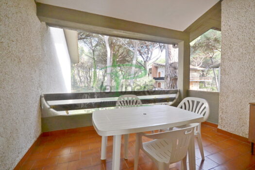 DELFINO 36 – TRILO PP