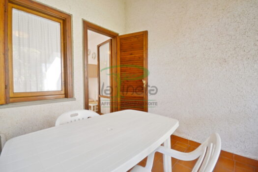 DELFINO 36 – TRILO PP